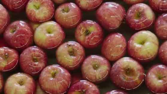 02 vlcsnap 2020 12 21 09h06m31s427 2 2